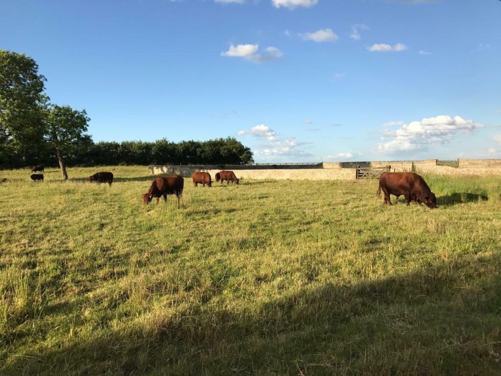 Cambridge Country Cottages Luaran gambar